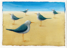 27 - seagulls small.gif (17668 bytes)