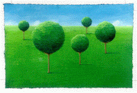 17_-_round_trees_small.gif (14881 bytes)